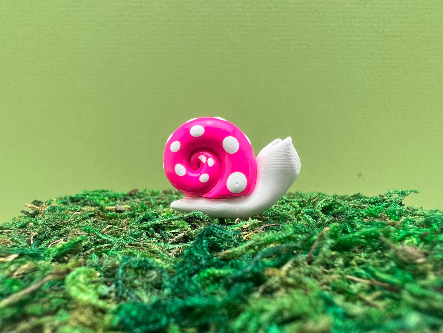 Mini SNAIL