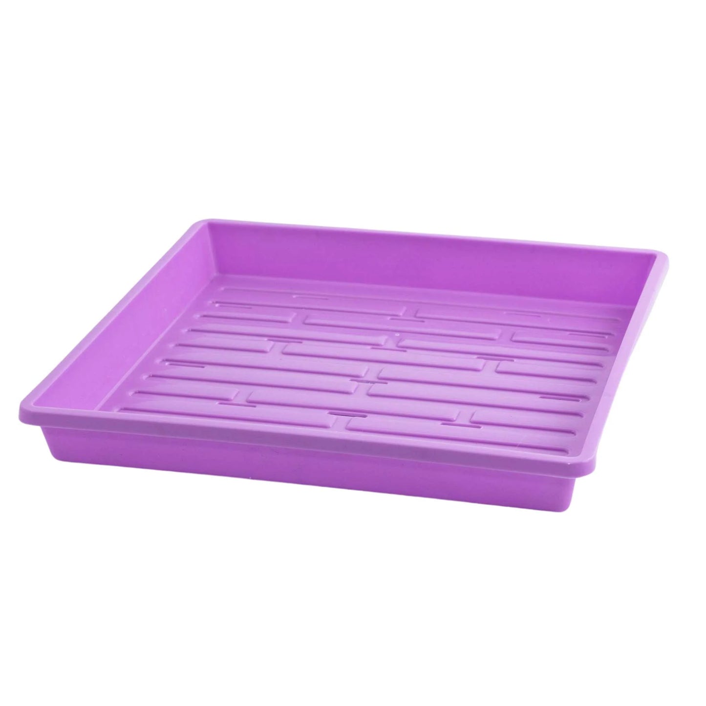 1010 Tray Shallow Trays