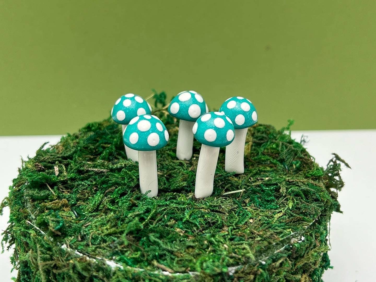 Mini BUTTON Mushroom