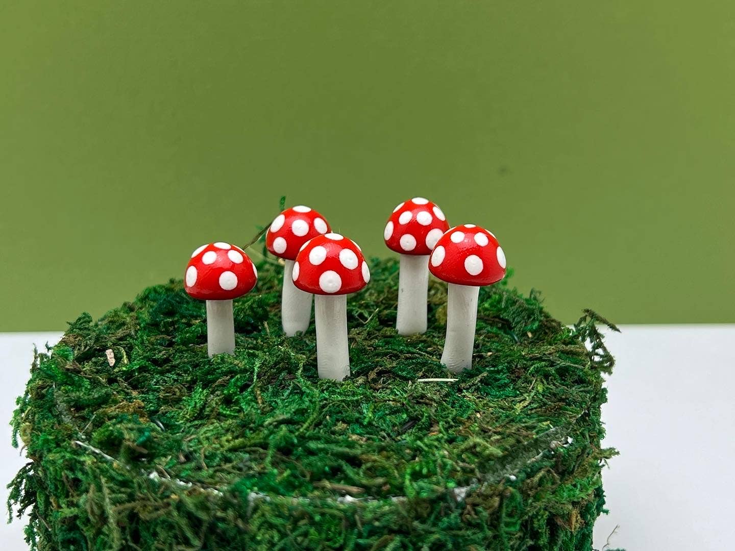 Mini BUTTON Mushroom