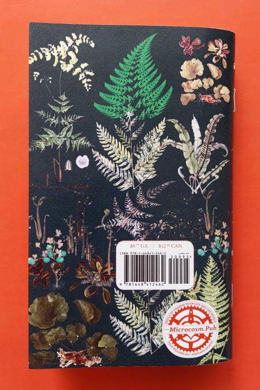 Ferns & How to Grow Them