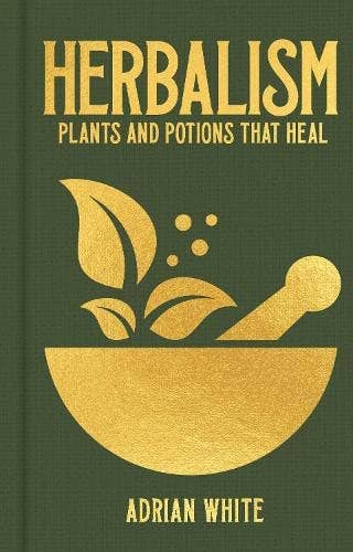 Herbalism Plants & Potions That Heal
