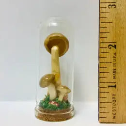 Mushroom Curio Real Fungi 2.75"