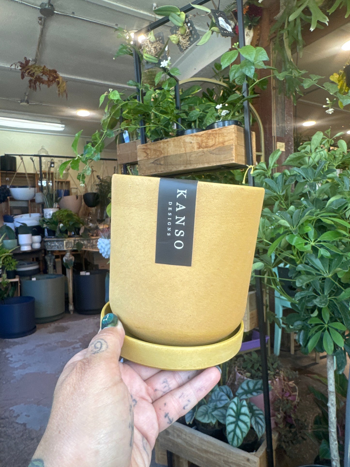 Kanso | Cyclinder Pot & Saucer