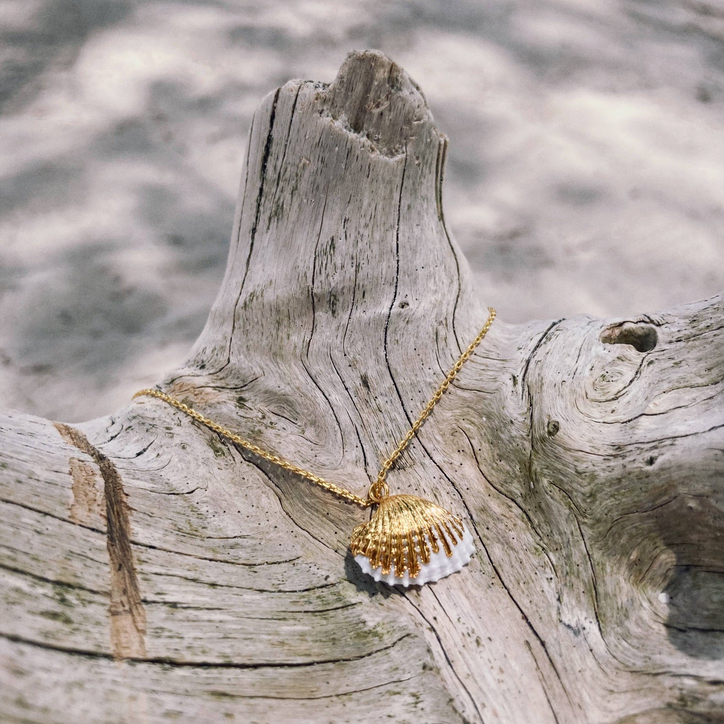 Mermaid Flat Clam Shell Necklace