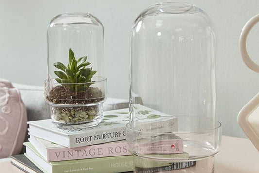 Terrarium Vessels | Griffith