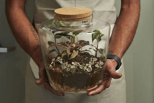 Terrarium Vessels | Message Bottle
