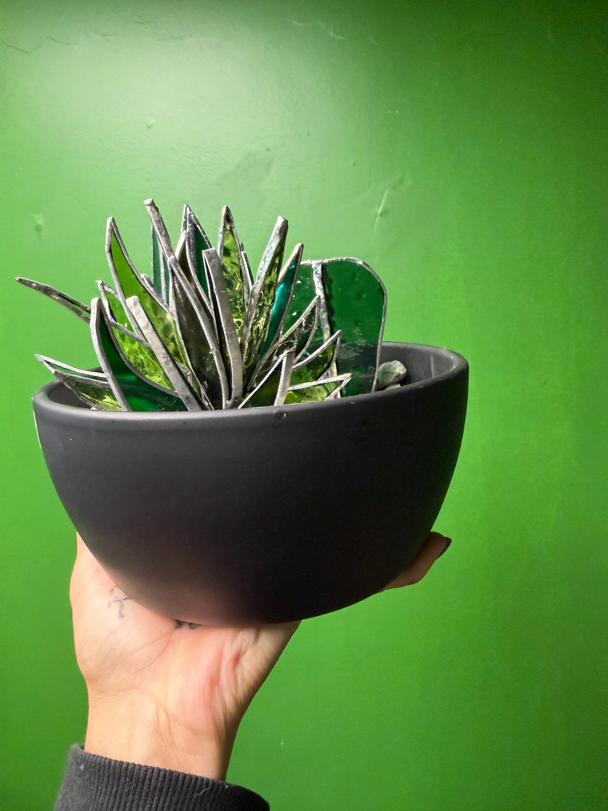 Stained Glass Succulent