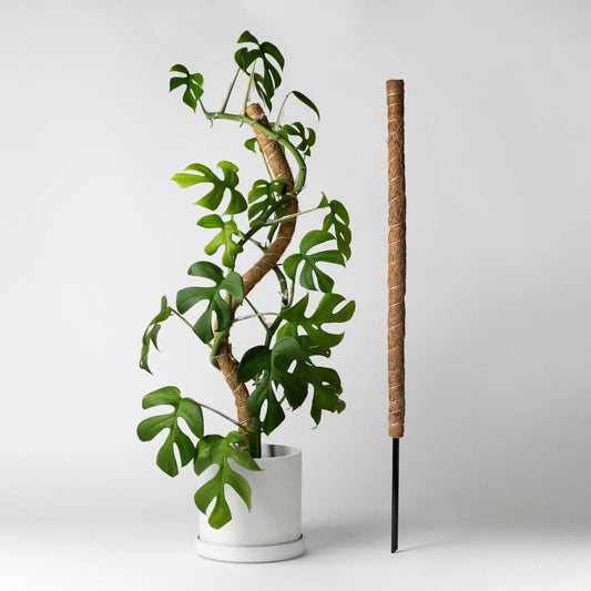 Kanso | Bendable & Stackable Coco Coir Pole