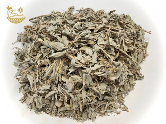 Loose Leaf Sage