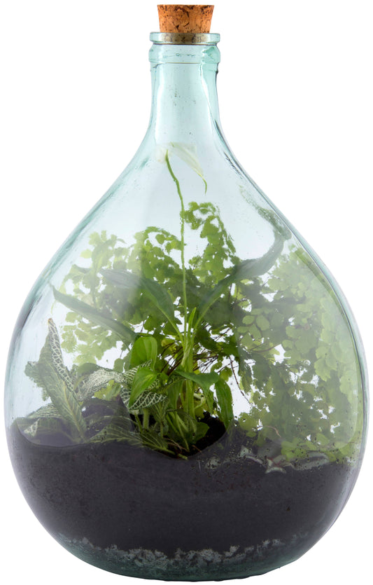 Terrarium Bottle and Tools