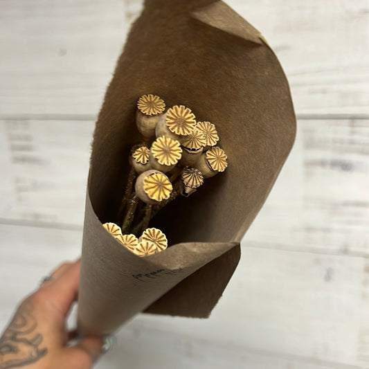 Dried & Preserved Floral | Mini Poppyseed Head