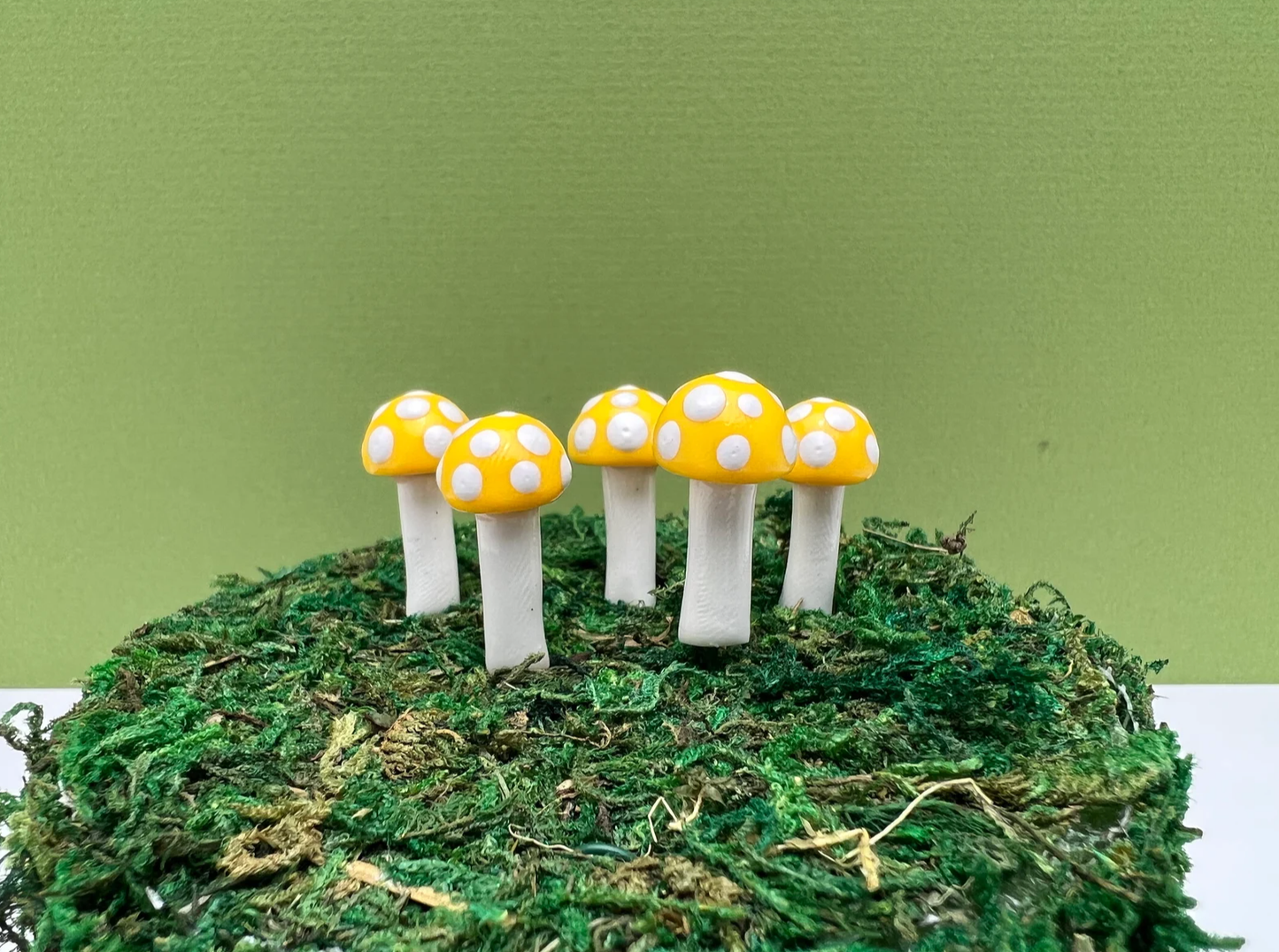 Mini BUTTON Mushroom