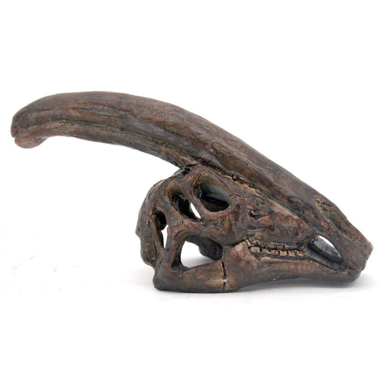Faux Parasaurolophus Mini Dinosaur Fossil Skull