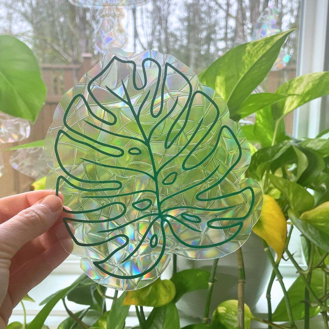 Monstera Leaf Suncatcher Sticker