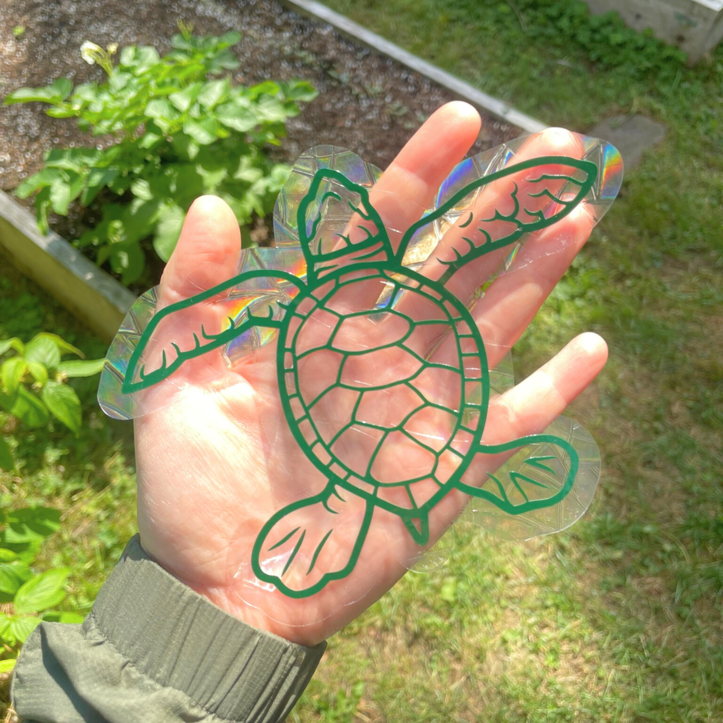 Suncatcher Sticker  Turtle