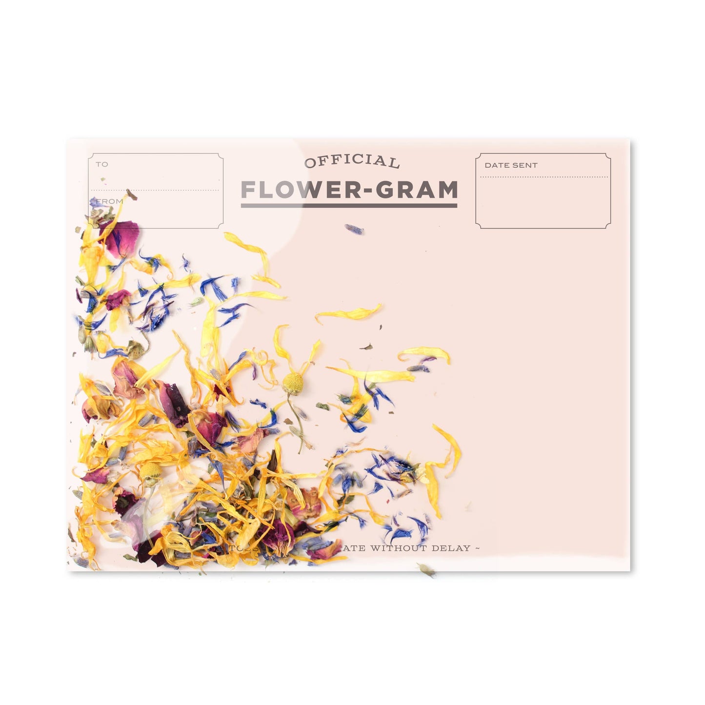 Flowergrams Card