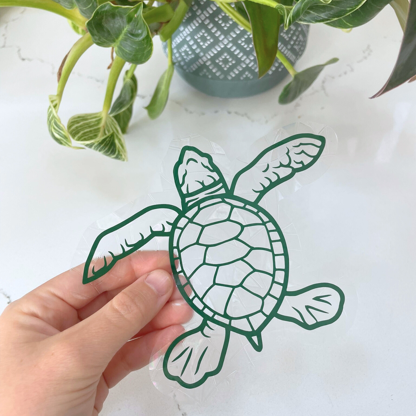 Suncatcher Sticker  Turtle