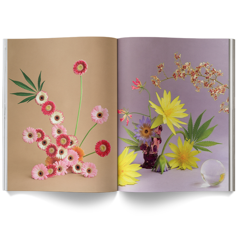 A Weed is a Flower Coffee Table Book