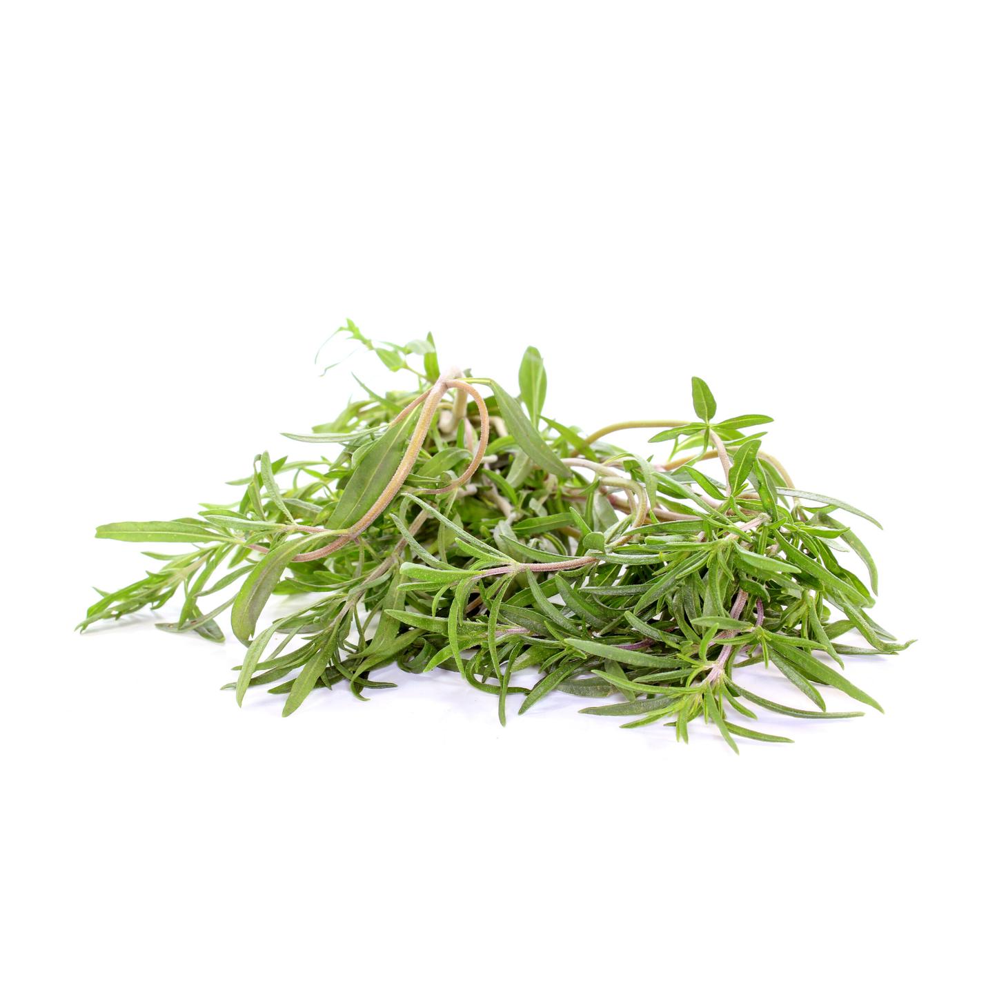 Savoury Summer