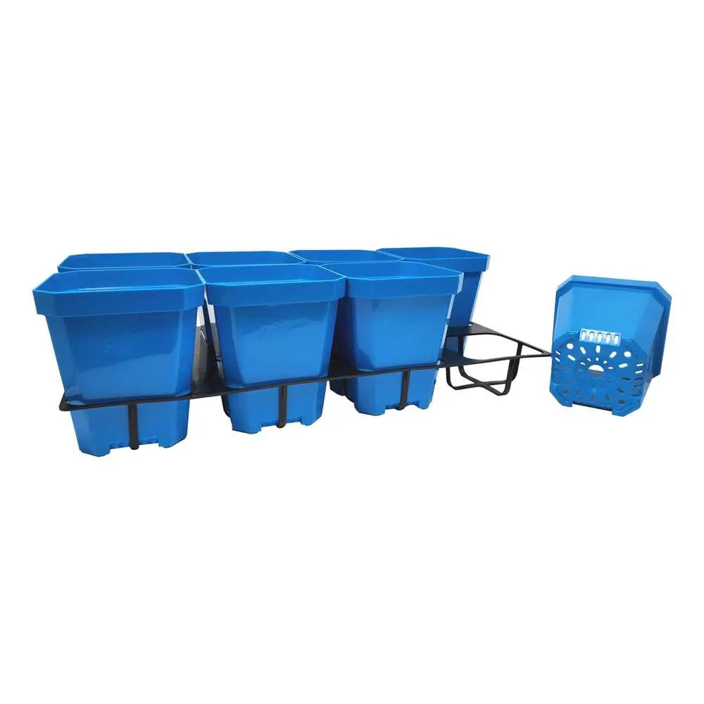 5" Square Coloured Pot