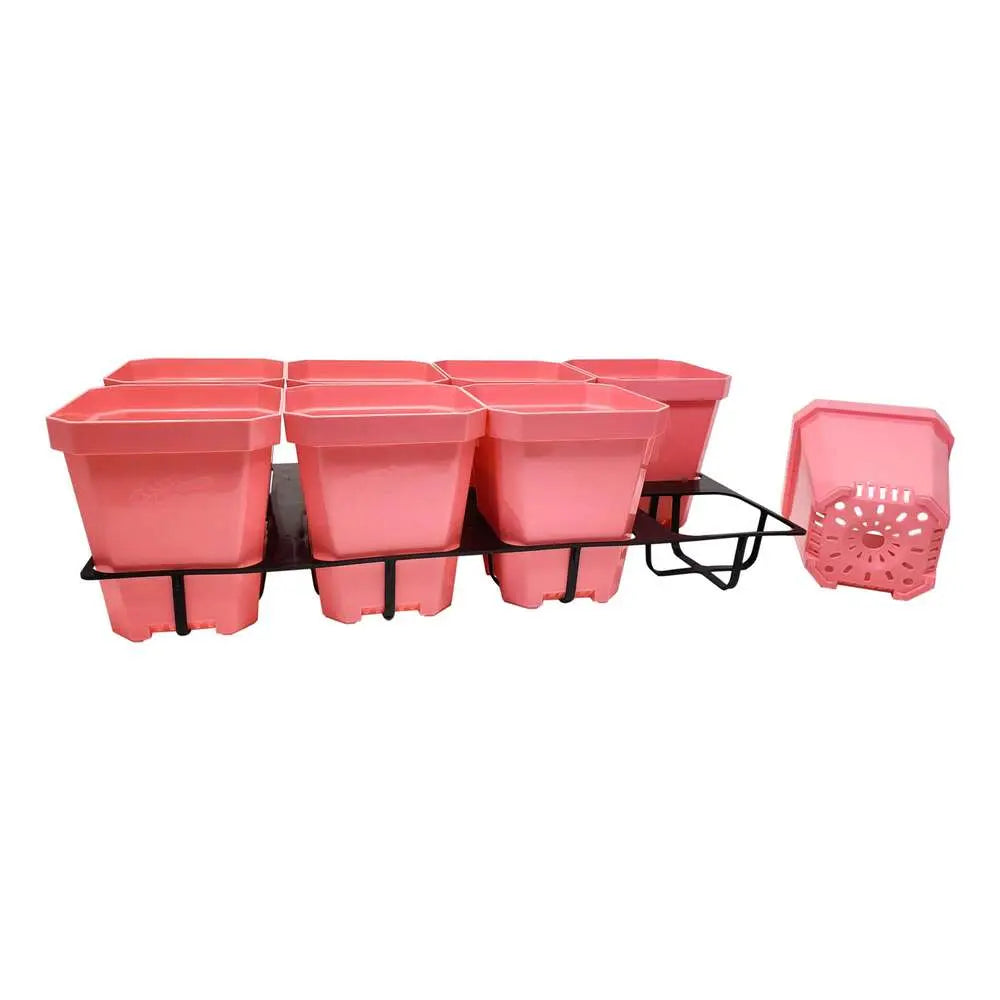 5" Square Coloured Pot