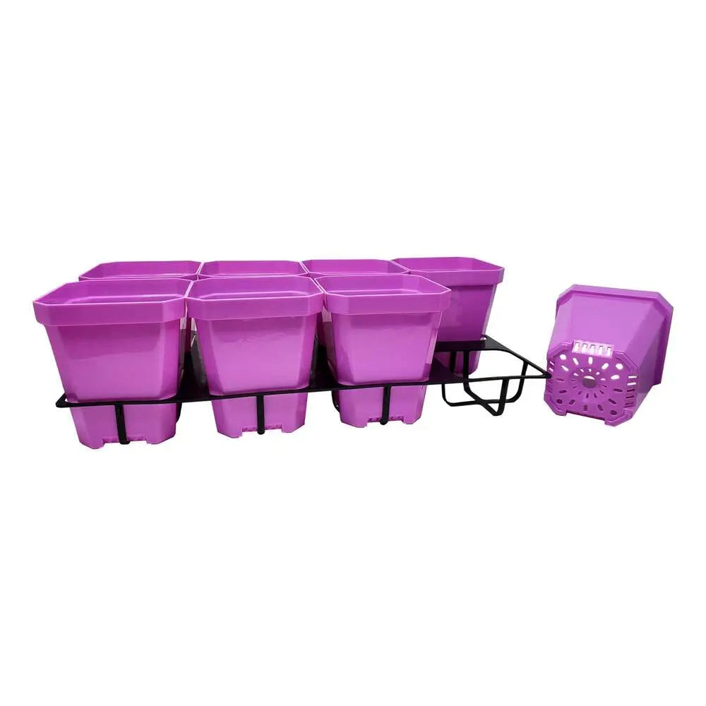 5" Square Coloured Pot