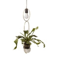 Kol Vintage  Hanging Planter