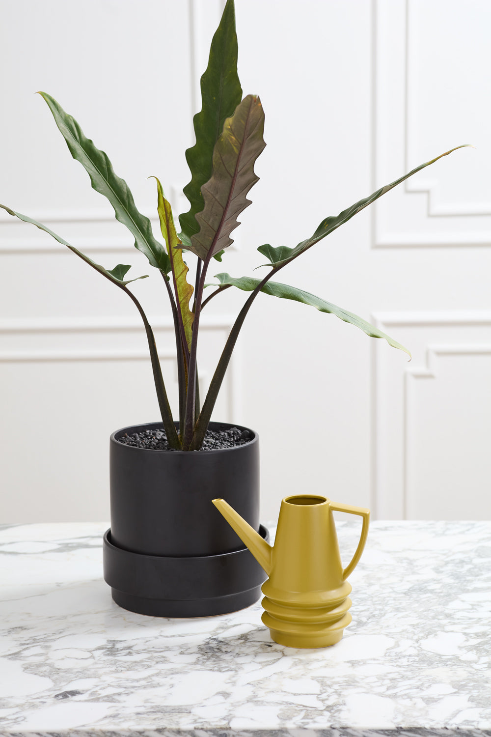 Watering Can | Laken
