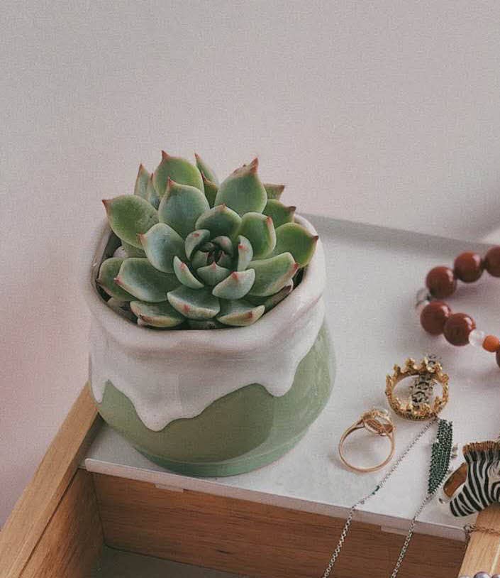 Ceramic Drip Milky Green Lotus