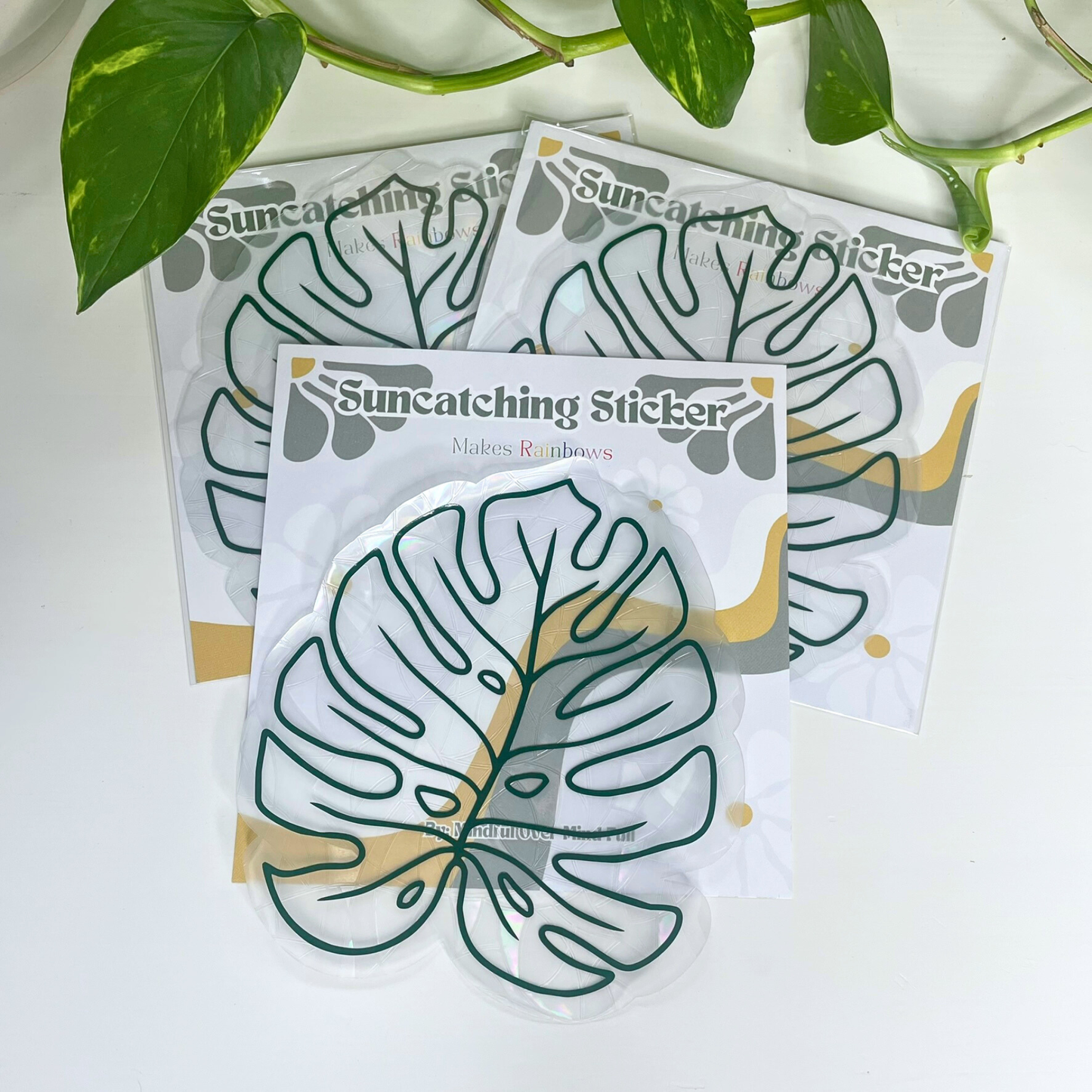 Monstera Leaf Suncatcher Sticker