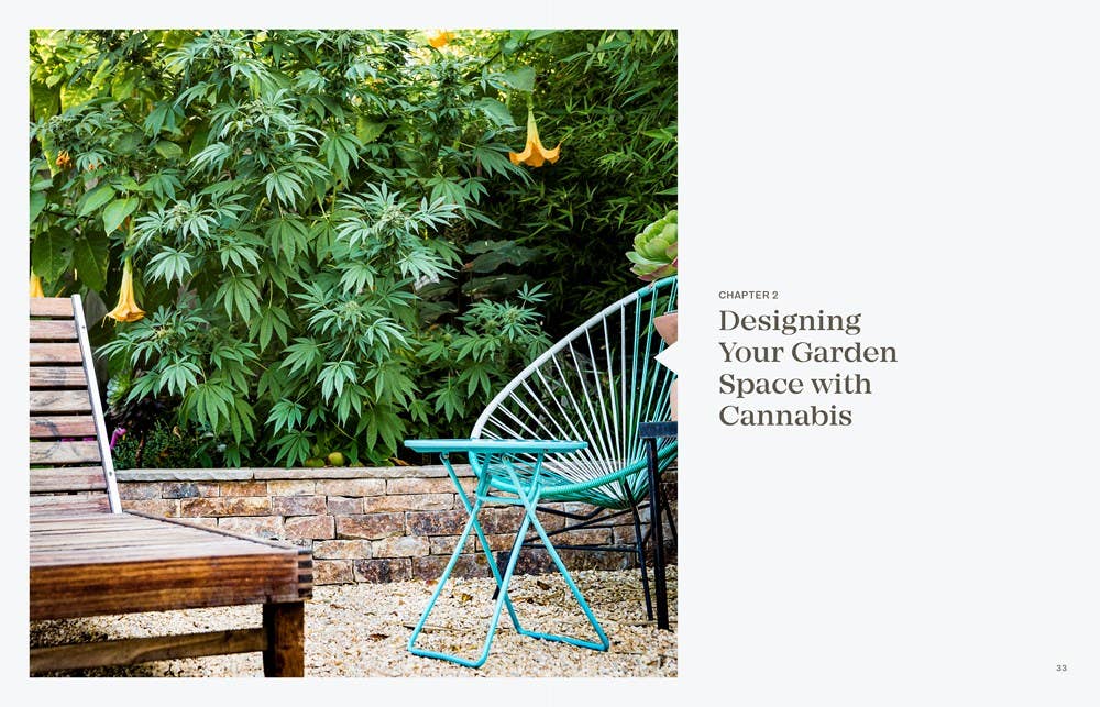 Cannabis Gardener: A Beginner's Guide to Growing