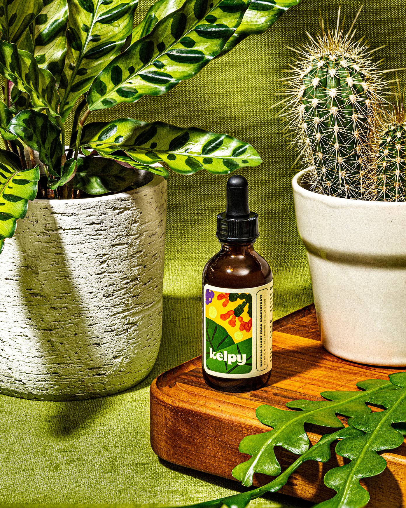 Kelpy Plant Food 59 ml