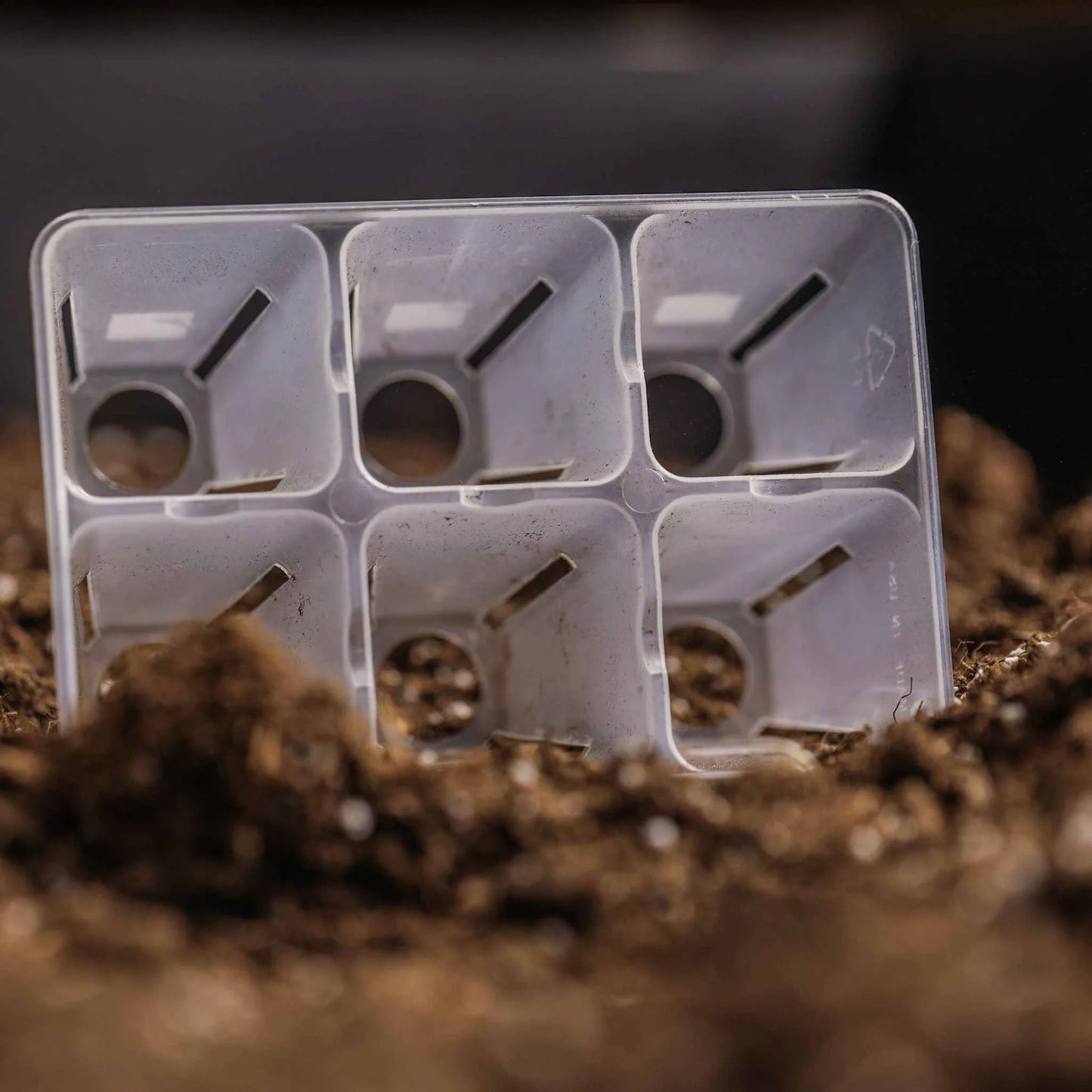 6 Cell Seed Starting Tray