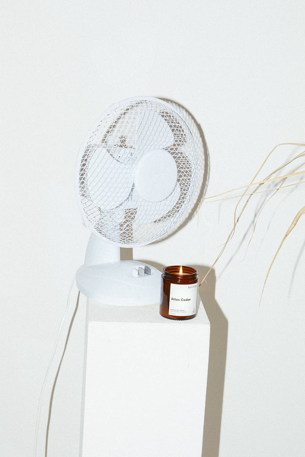 Atlas Cedar | 170ml Candle