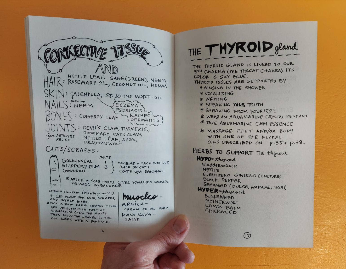 Healing Your Magical Body with Plants & Minerals Zine