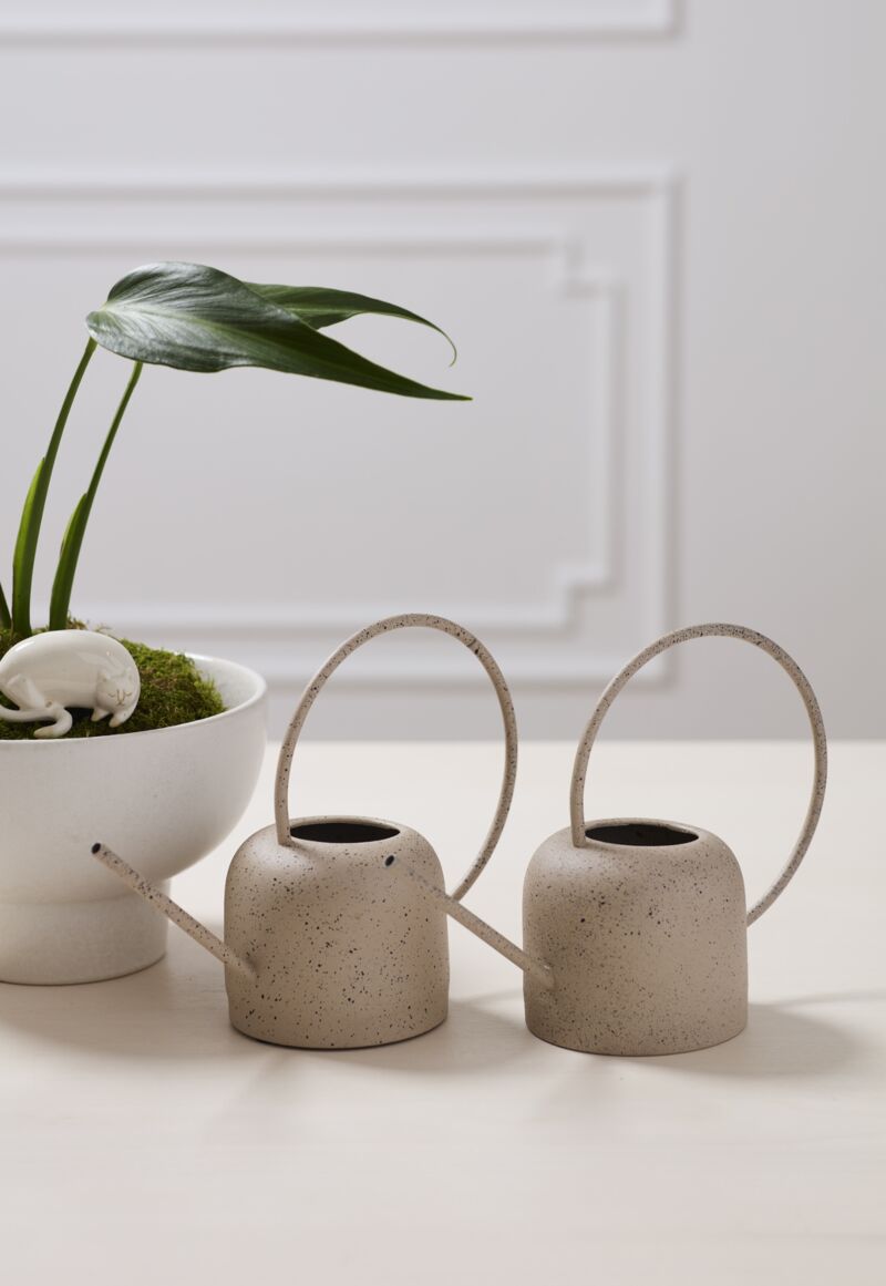 Watering Can | Danielle