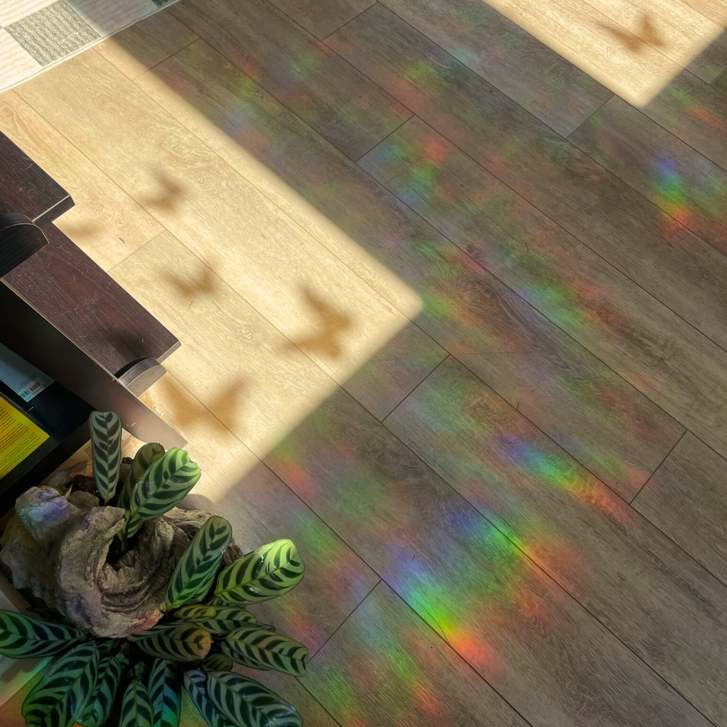 Hummingbird Suncatcher Stickers