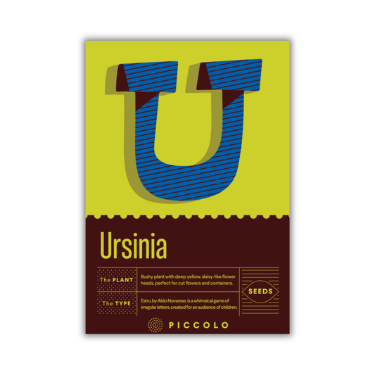 Ursinia