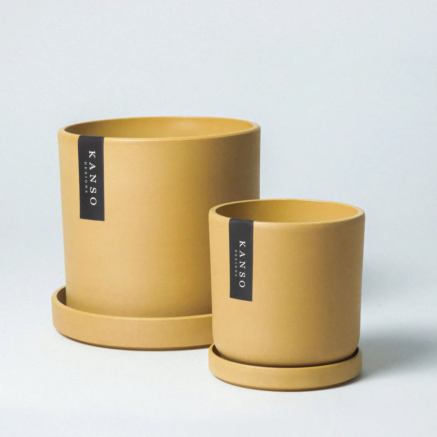 Kanso | Cyclinder Pot & Saucer