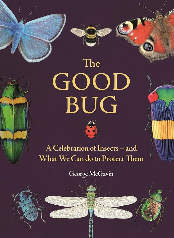 Good Bug: A Celebration of Insects