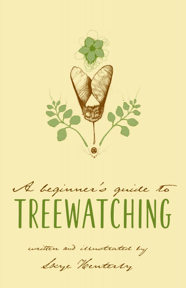 Beginner's Guide to Treewatching Zine