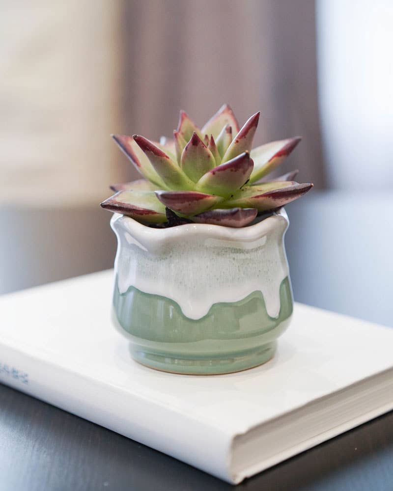Ceramic Drip Milky Green Lotus