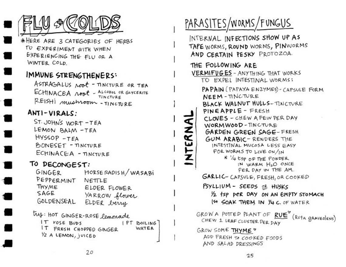 Healing Your Magical Body with Plants & Minerals Zine