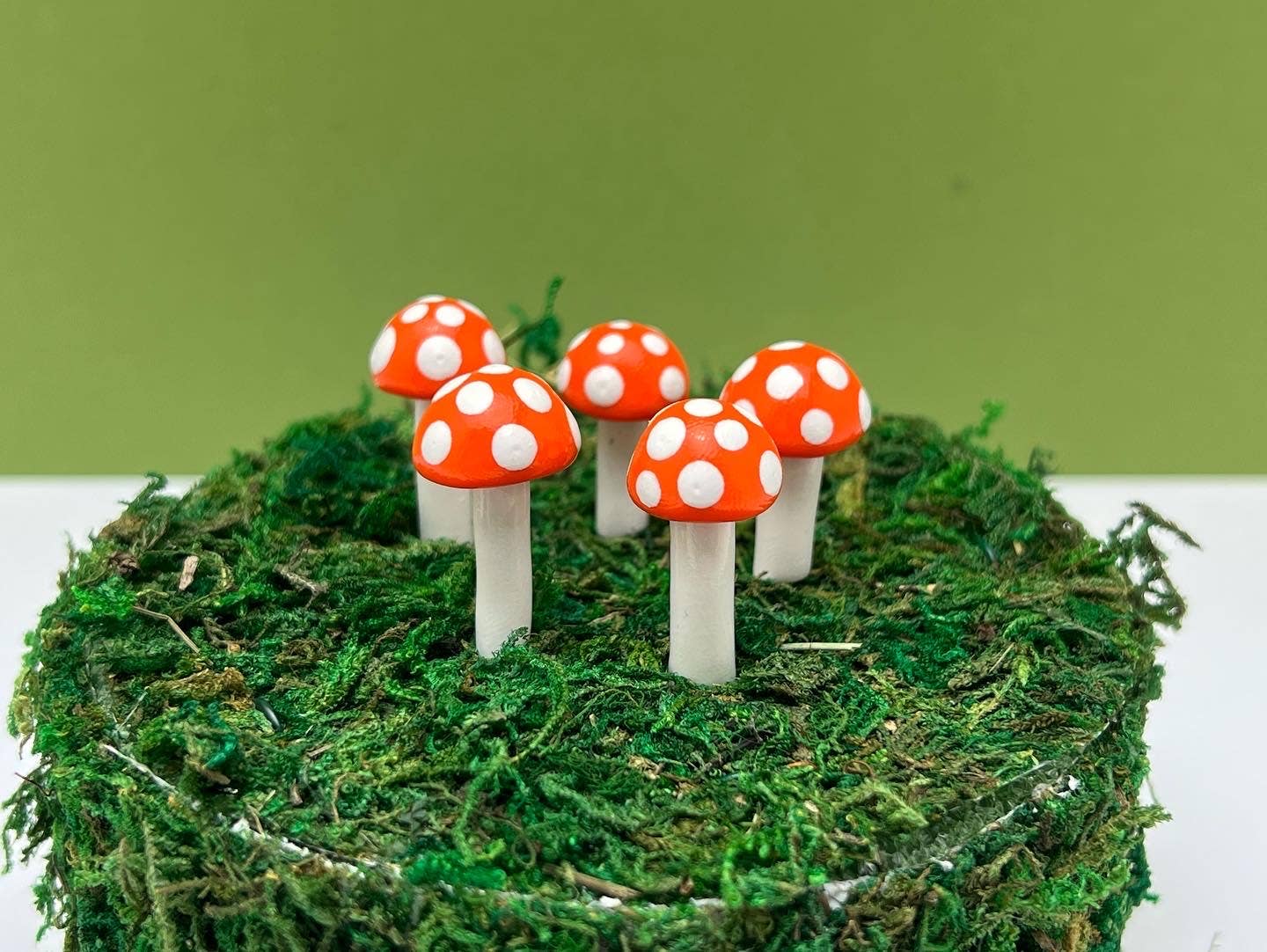 Mini BUTTON Mushroom
