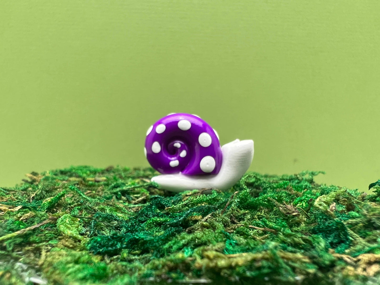 Mini SNAIL