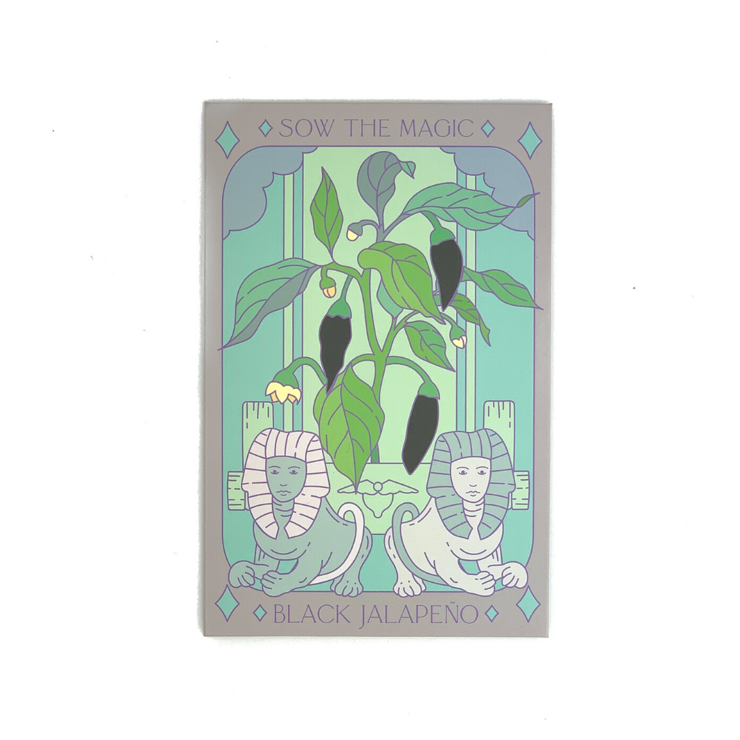 Tarot Card Seeds | Black Hungarian Jalapeño