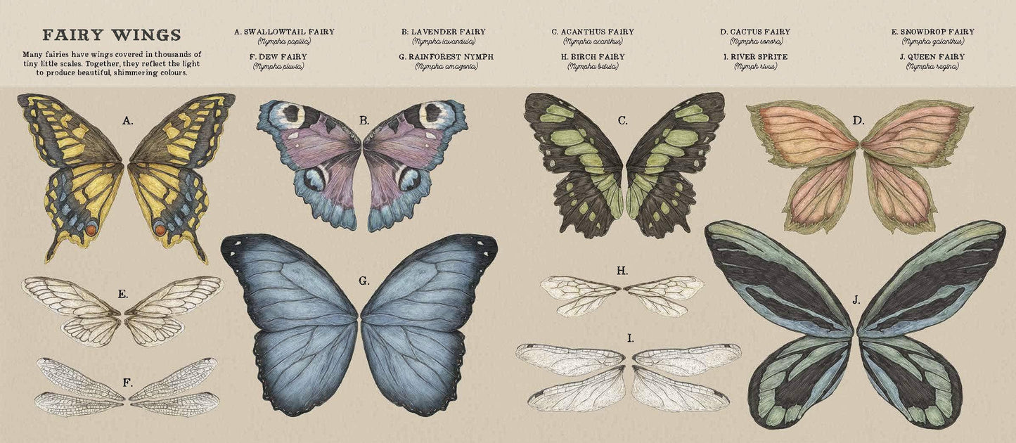 Natural History of Fairies