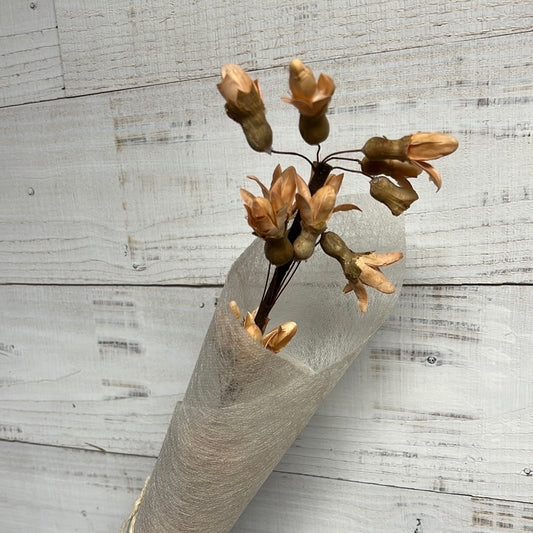 Dried & Preserved Floral | Flowers on Branch