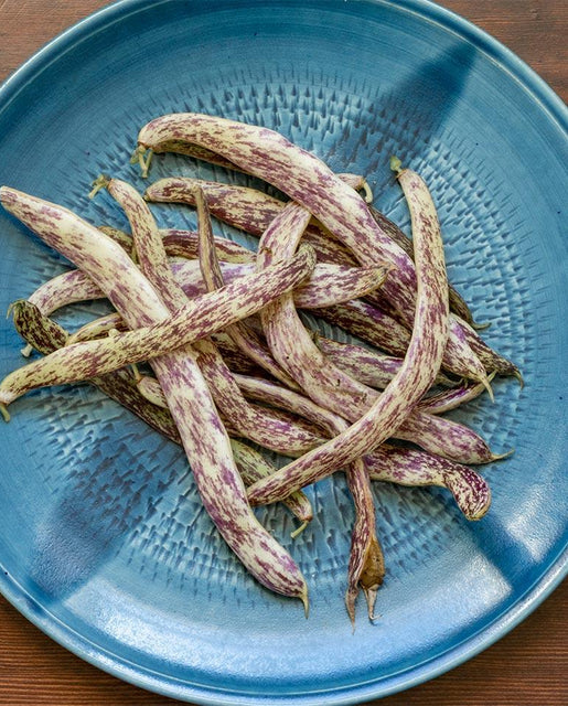 Seeds | Beans  Dragon Tongue